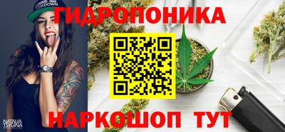 прущая мука Кингисепп