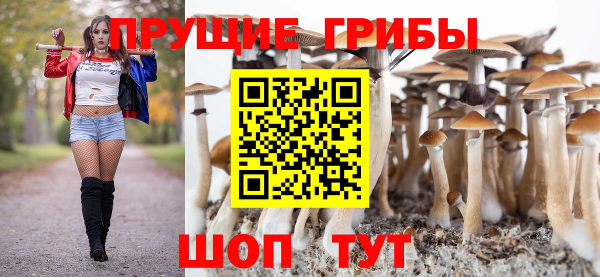 Галлюциногенные грибы ЛСД Кубинка