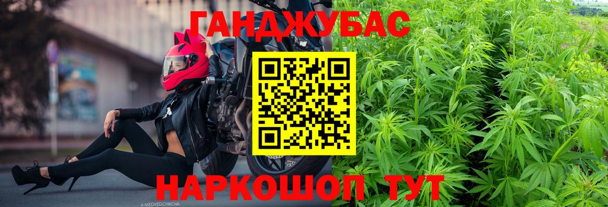 Бошки марихуана конопля  Вход с VPN  Кубинка  Канабис ГИДРОПОН  Конопля сатива 